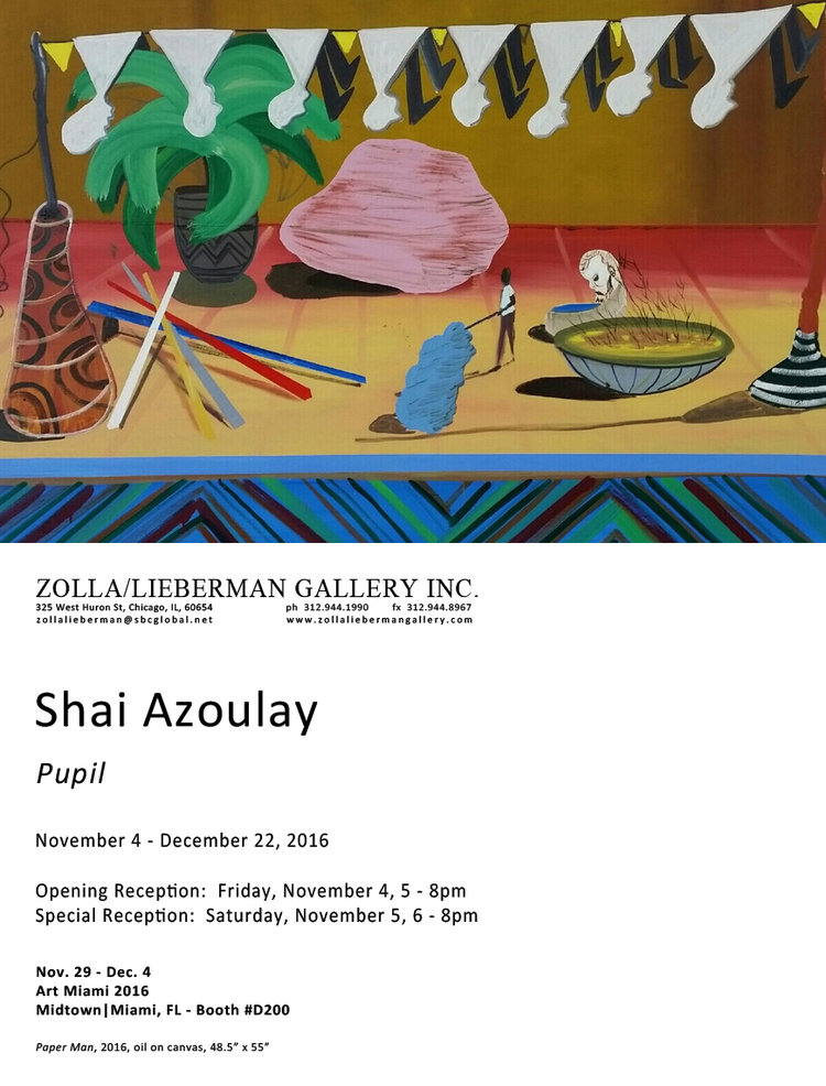 Read more about the article Pupil at Zolla/Lieberman Gallery, Chicago | Nov 2016